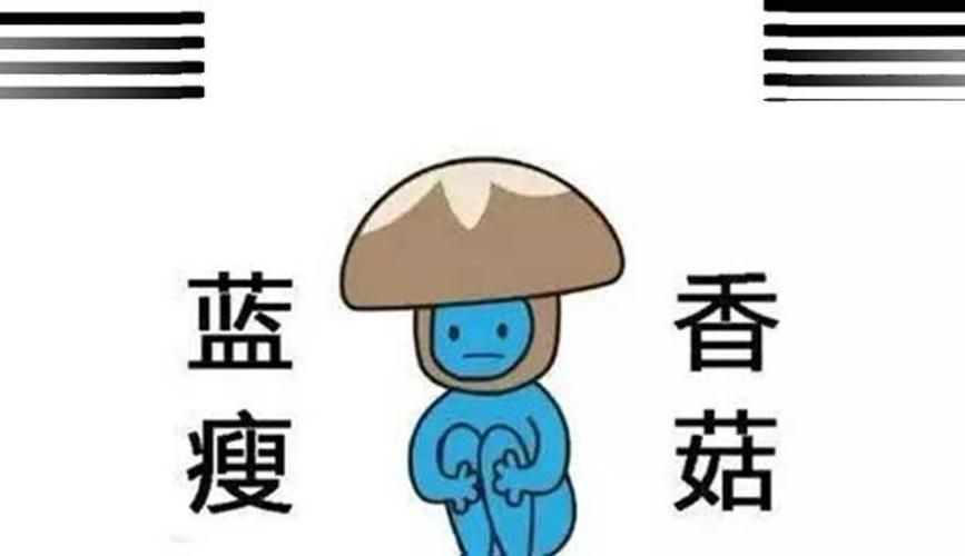 蓝瘦香菇的起源和走红之路，一个网络流行语的兴衰史