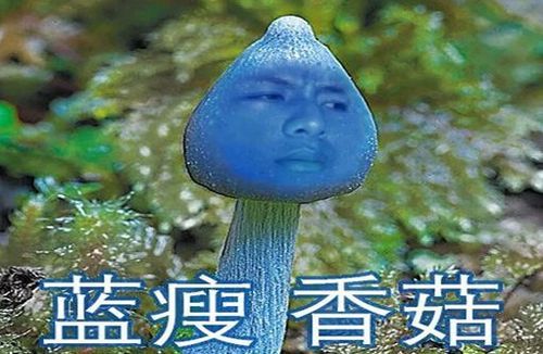 蓝瘦香菇的起源和走红之路，一个网络流行语的兴衰史