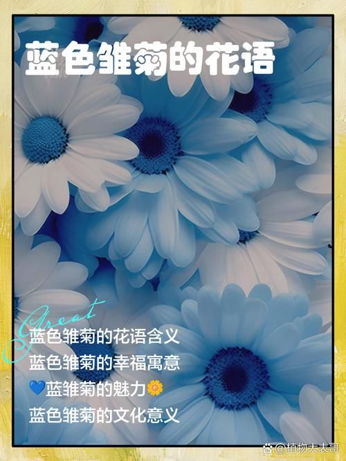 蓝色究竟是什么颜色？详解蓝色的含义及文化象征