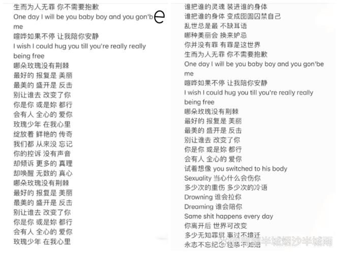 蔡依林玫瑰少年歌曲解读：歌词含义及创作背景