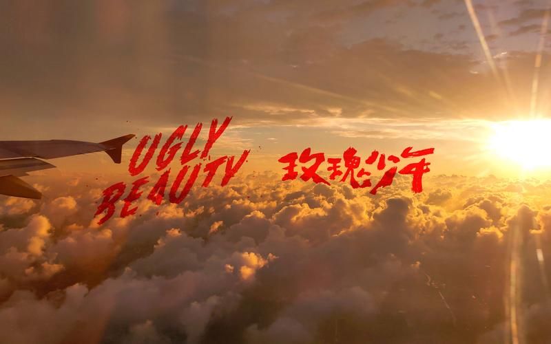 蔡依林玫瑰少年歌曲解读：歌词含义及创作背景