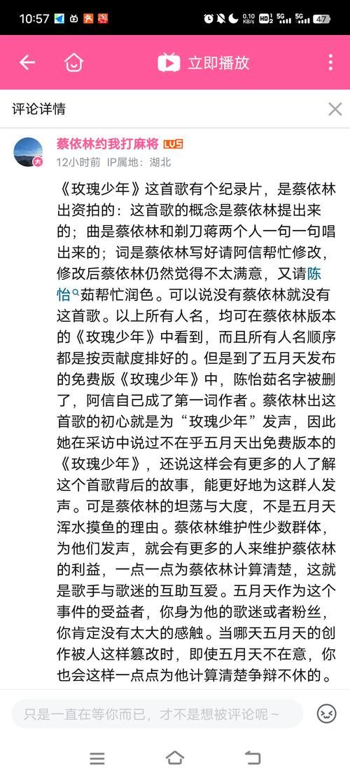 蔡依林玫瑰少年歌曲解读：歌词含义及创作背景