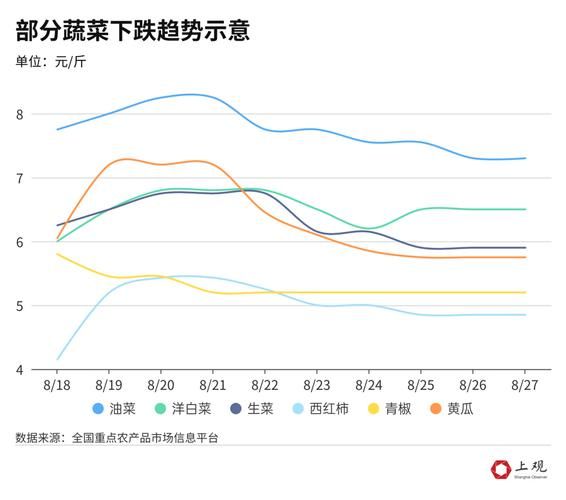 蔬菜价格上涨的原因分析：天气、产量和市场需求