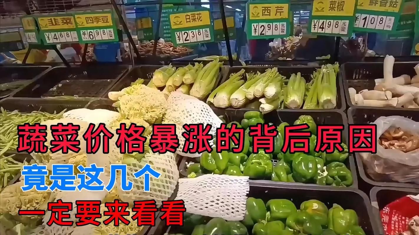 蔬菜价格上涨的原因分析：天气、产量和市场需求