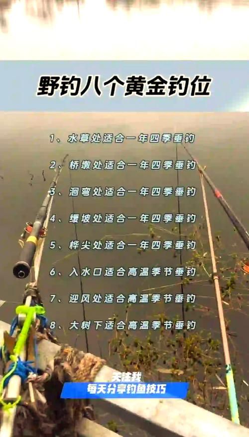 藏宝海湾钓鱼大赛攻略：时间地点及参赛技巧详解