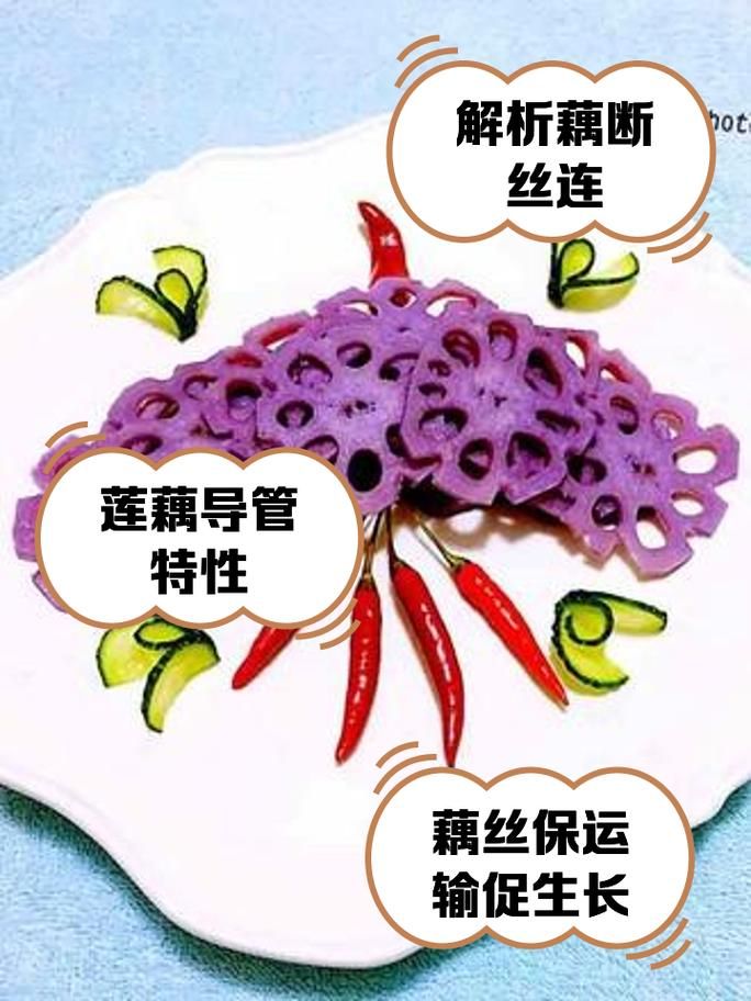藕断丝连的丝到底有什么作用？秘密就在这里！