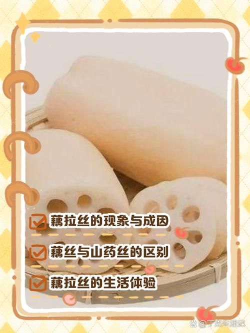 藕断丝连的丝到底有什么作用？秘密就在这里！