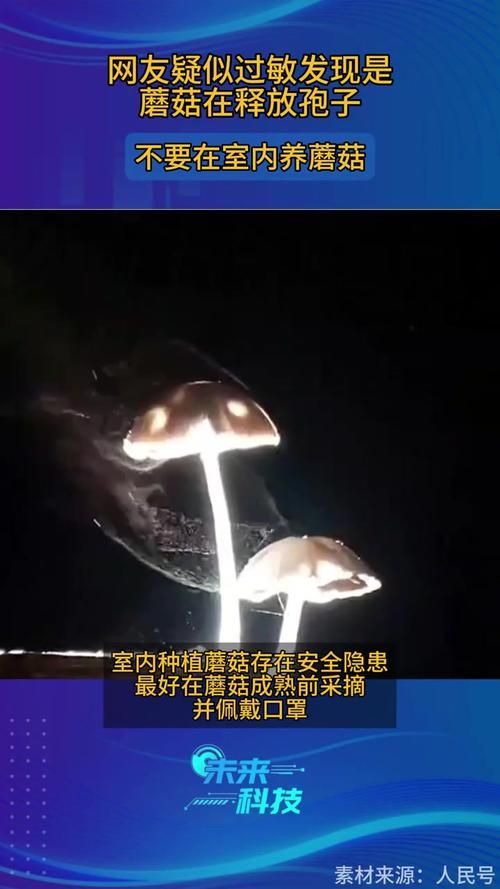 蘑菇释放孢子是什么？小心孢子过敏