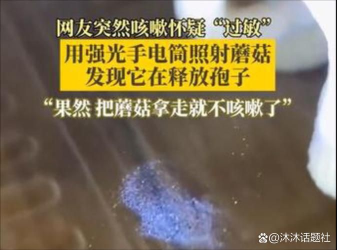 蘑菇释放孢子是什么？小心孢子过敏