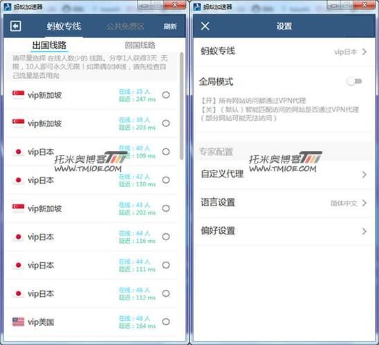 蚂蚁加速加速器安全吗？隐私保护解析