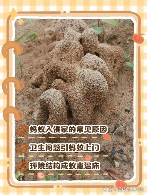 蚂蚁有牙齿吗？蚂蚁牙齿颜色大揭秘
