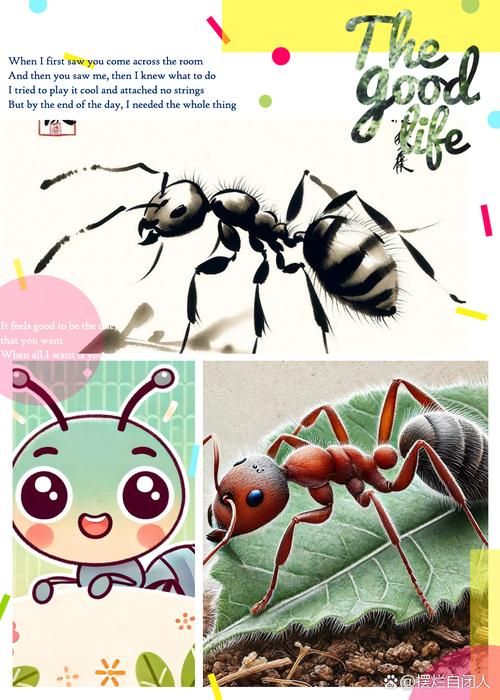 蚂蚁有牙齿吗？蚂蚁牙齿颜色大揭秘