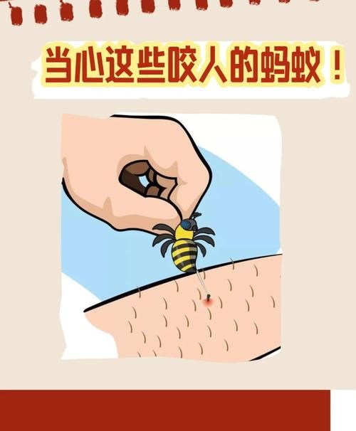 蚂蚁有牙齿吗？蚂蚁牙齿颜色大揭秘