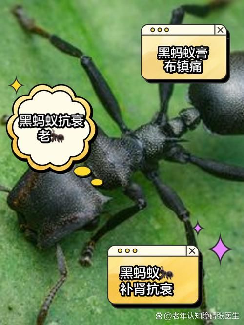 蚂蚁有牙齿吗？蚂蚁牙齿颜色大揭秘
