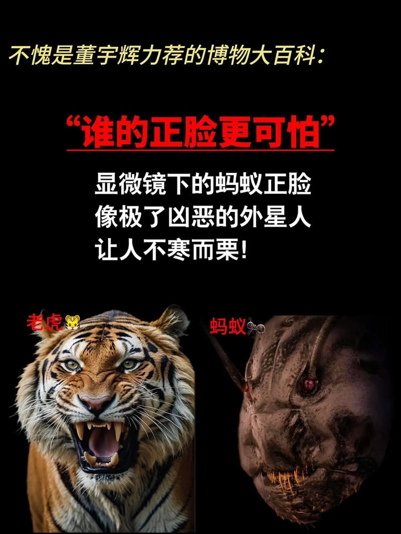 蚂蚁有牙齿吗？蚂蚁牙齿颜色大揭秘