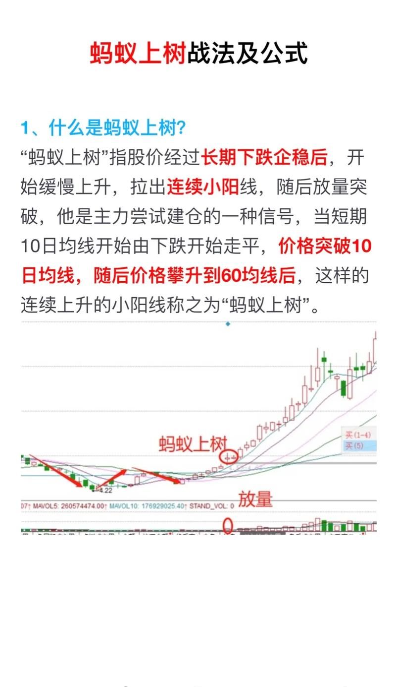 蚂蚁集团股票投资策略：新手入门及技巧分享