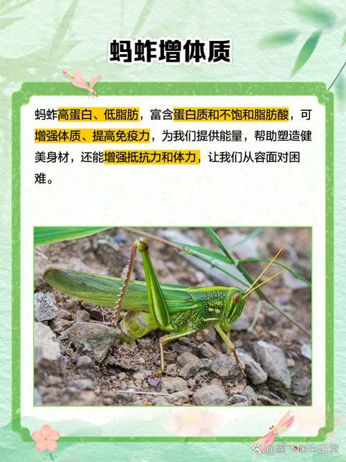 蚂蚱有哪些显著特点？带你了解蚂蚱的独特之处