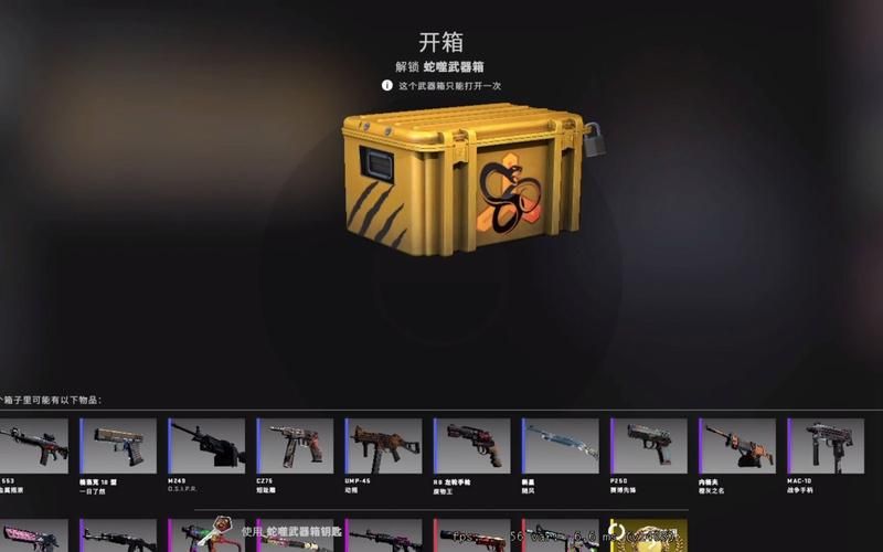 蛇噬武器箱性价比高吗？玩家真实开箱体验