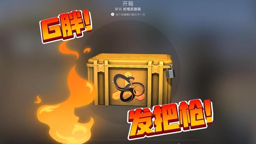 蛇噬武器箱性价比高吗？玩家真实开箱体验