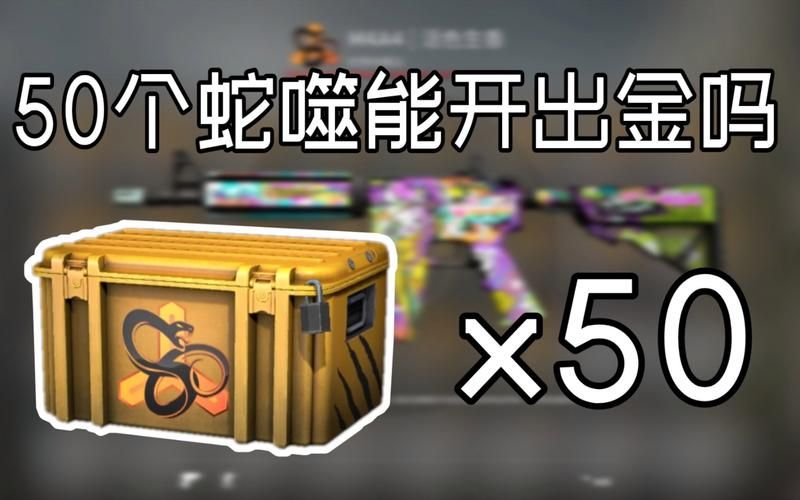 蛇噬武器箱性价比高吗？玩家真实开箱体验
