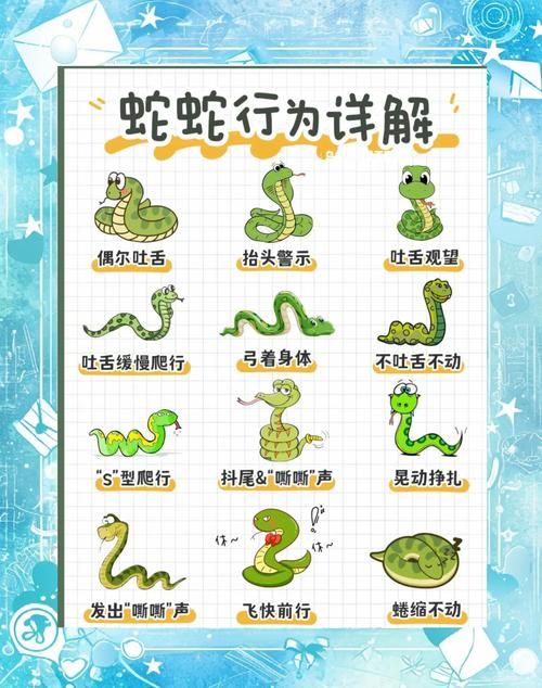蛇皮走位是什么意思？带你了解游戏中的高阶走位技巧