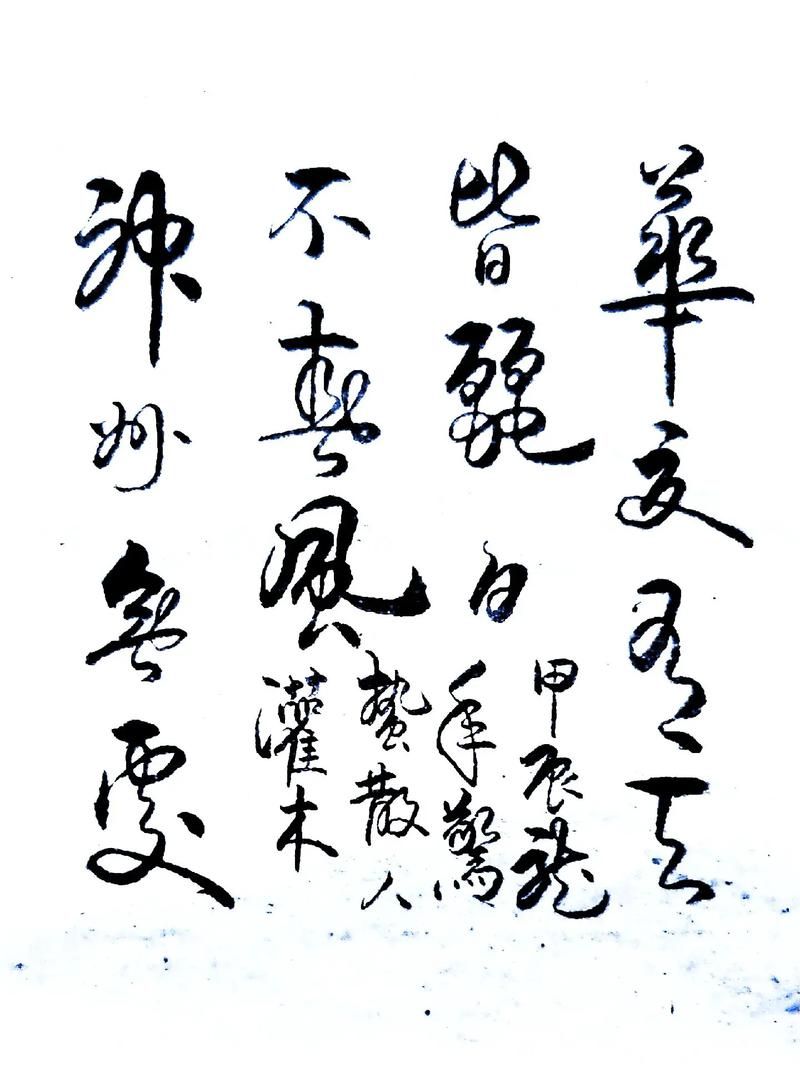 蛰龙已惊眠一啸动千山：气势磅礴的诗句赏析与解读