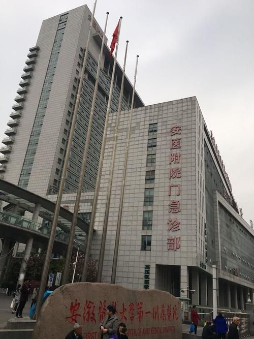 蜀山官网入口：便捷访问蜀山区政府及相关信息