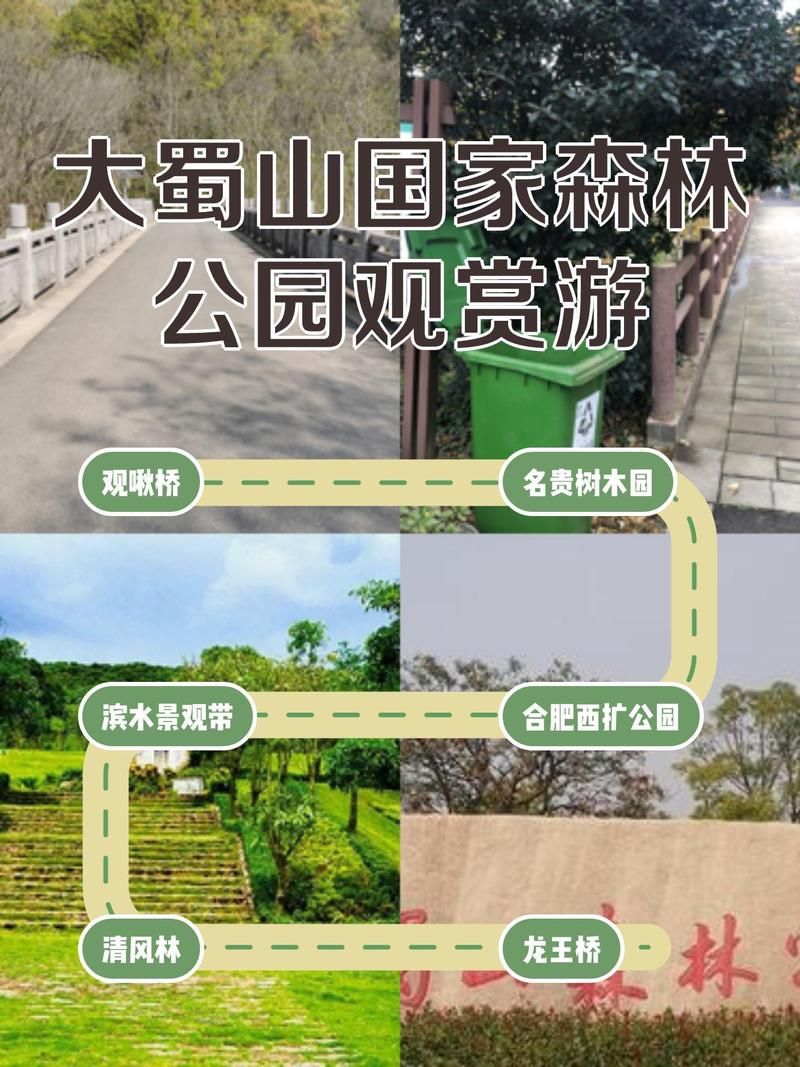 蜀山官网入口：便捷访问蜀山区政府及相关信息