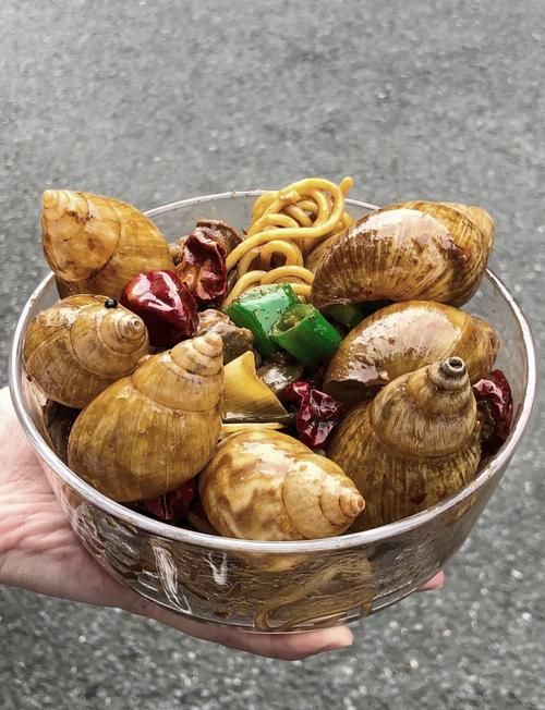 蜗牛爱吃啥东西？这份菜单你绝对想不到！