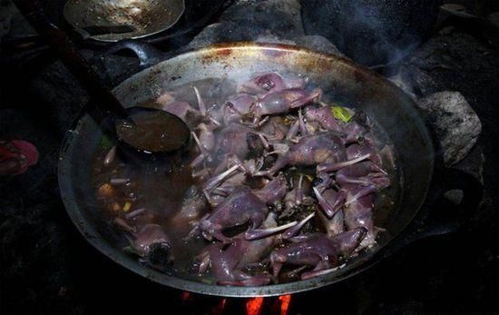 蝙蝠怎么吃才能去腥？分享蝙蝠肉烹饪小妙招