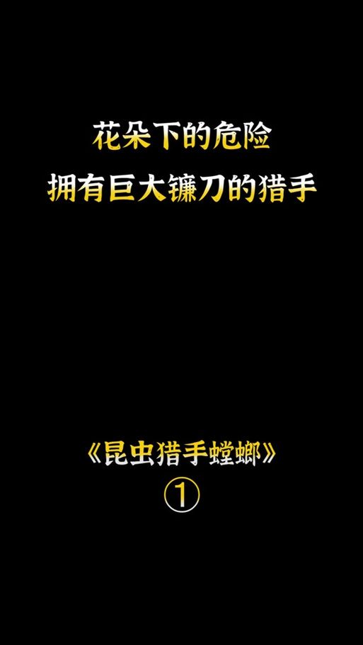螳螂打野怎么玩？新手入门快速上手指南