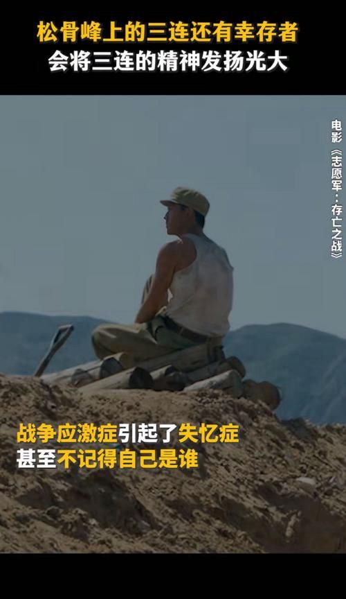 被遗忘的士兵：一段鲜为人知的战争史