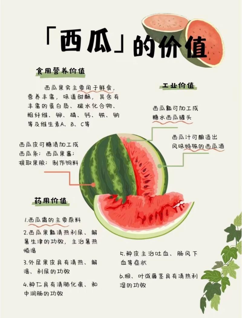 西瓜的功效与作用有哪些？吃西瓜需要注意什么？