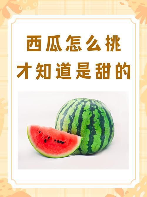 西瓜识破：如何挑选又甜又好的西瓜？