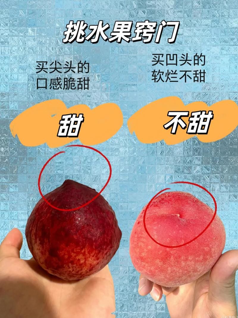 西瓜识破：如何挑选又甜又好的西瓜？