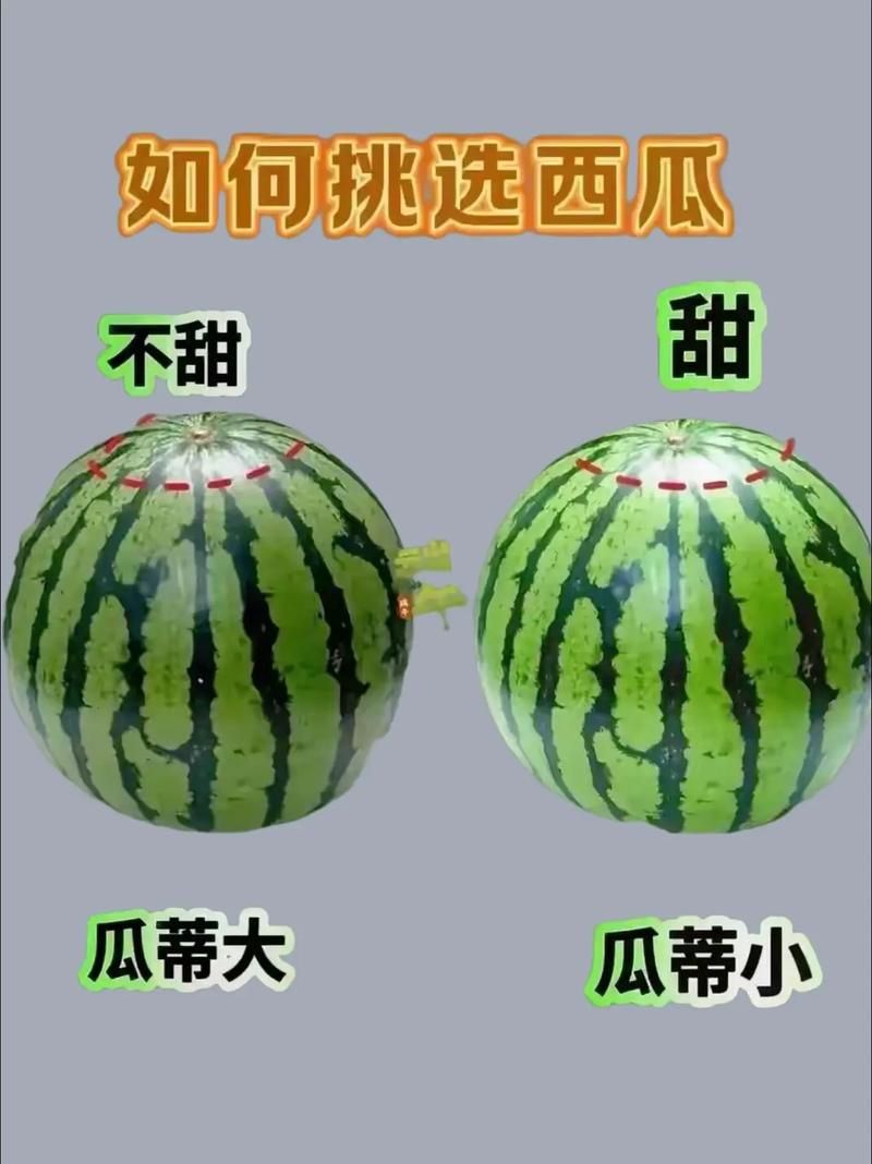 西瓜识破：如何挑选又甜又好的西瓜？