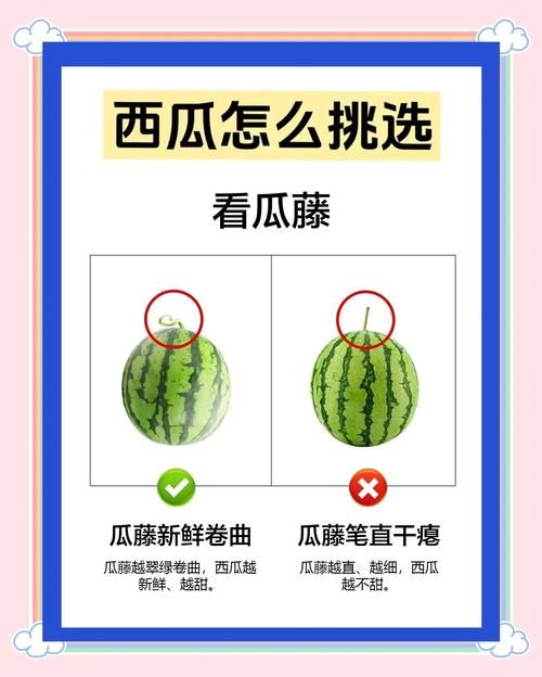 西瓜识破：如何挑选又甜又好的西瓜？