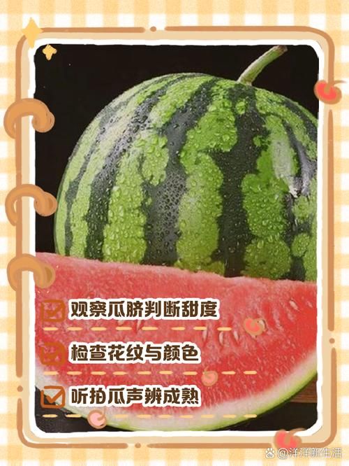 西瓜识破：如何挑选又甜又好的西瓜？