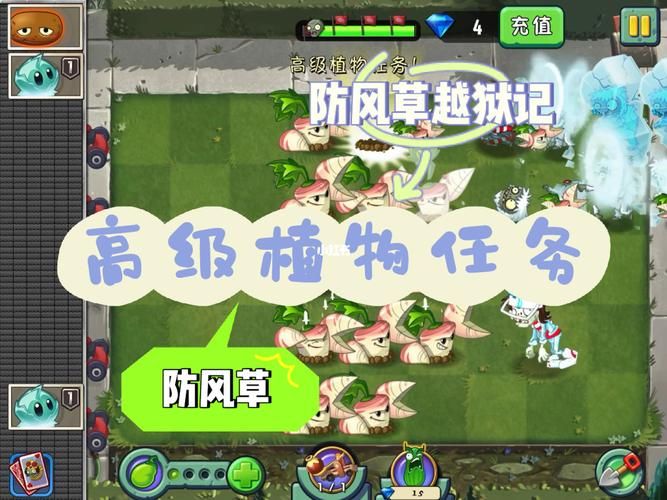西部荒野的黑骑士任务怎么做？新手玩家必看！