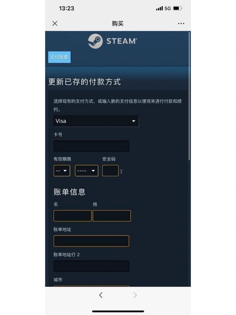 解决Steam支付界面无法加载的难题，轻松购买游戏！
