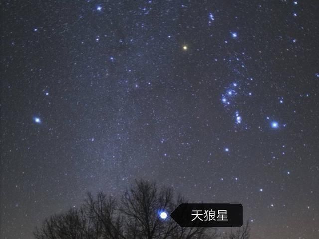 解密天狼剑法：修炼方法及隐藏的危险