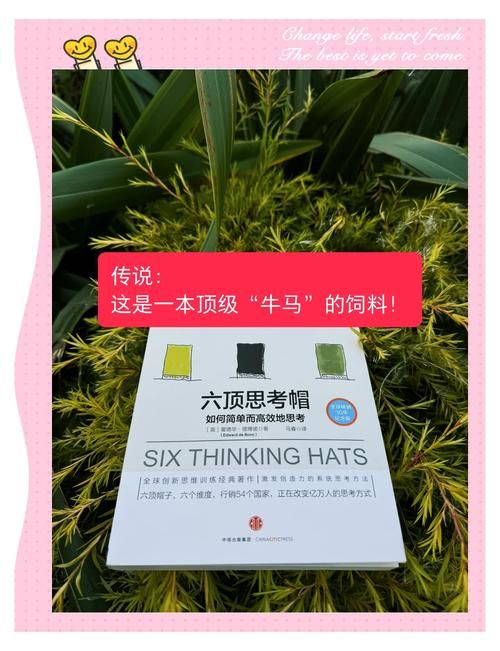 解密山海鲸可视化：提升工作效率的秘密武器是什么