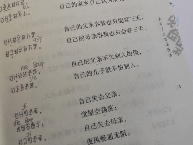 解密彝文：全面解读其独特的书写模式与文化
