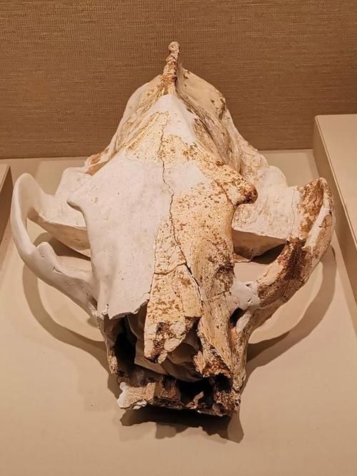 解密洪荒文明：那些你不知道的洪荒秘辛！