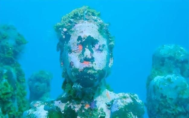 解密活体脑细胞：水下世界隐藏的秘密