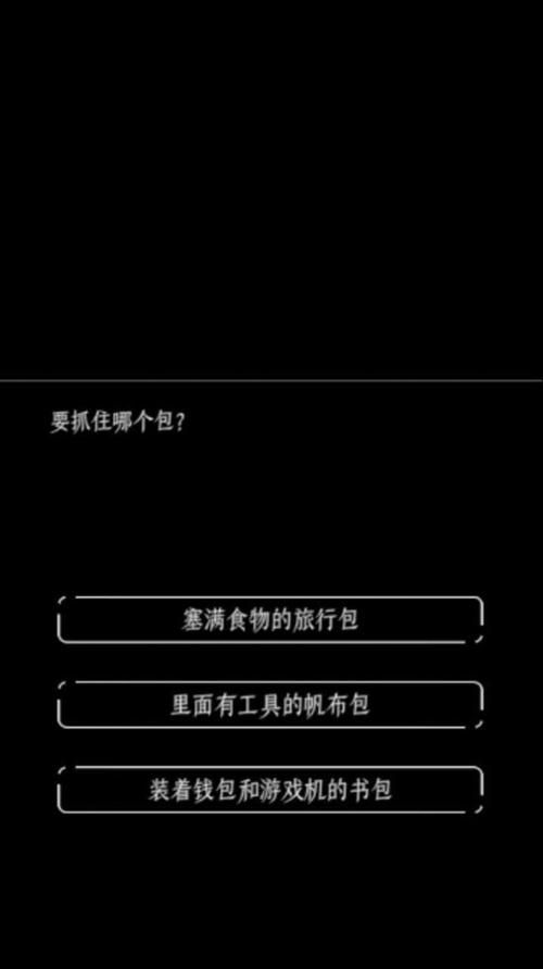 解密游戏终结的世界与你和我：最佳选项选择