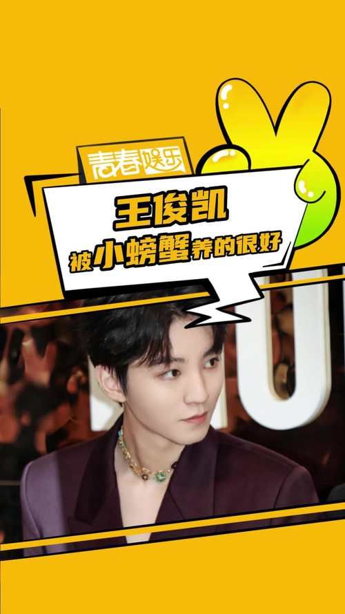 解密王俊凯粉丝名小螃蟹的真正含义和来源