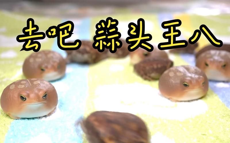 解密网络流行语：蒜头王八究竟是什么意思？