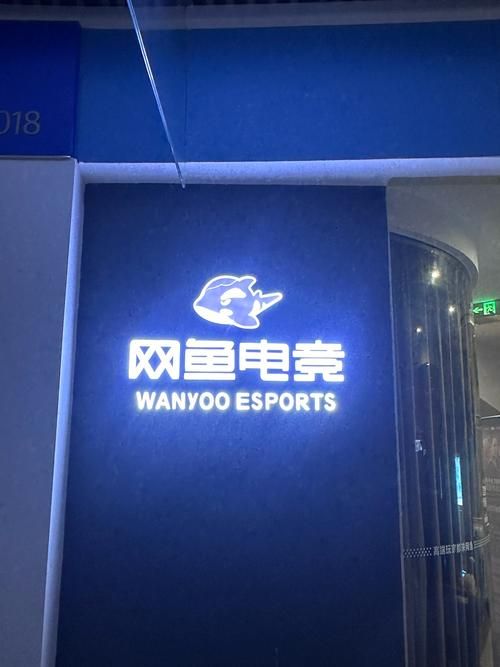 解答你的疑惑：网咖究竟是什么意思？它的功能和特点是什么？