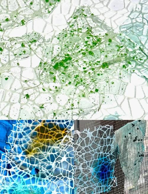 解读Mycelium：菌丝体的奥秘与无限可能